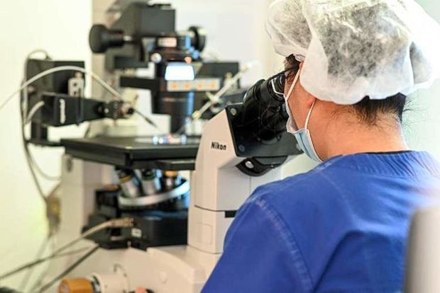 image-20200513_gaf_u39_1060-jpeg