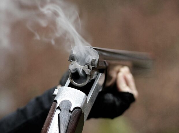 image-4a72ced5-ac2c-36c2-a93e-e98581044e55_850