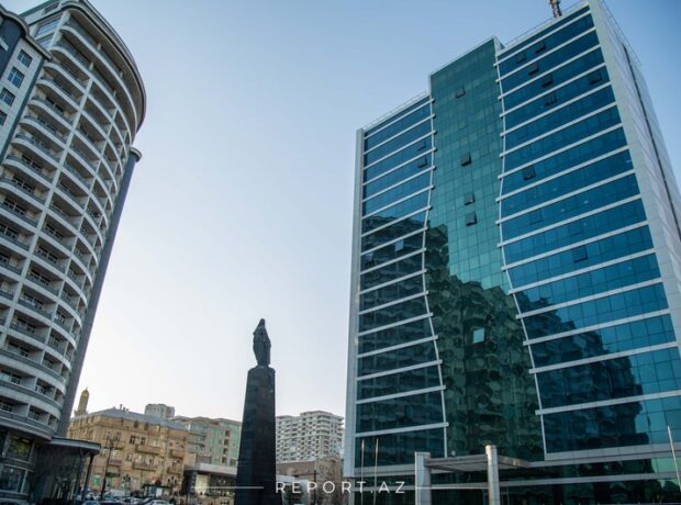 image-56c0775a-4f48-3383-ae23-cfeddc76cd28_850