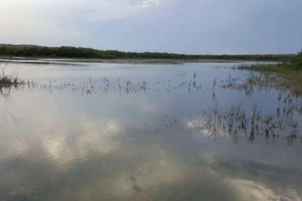 image-1643694468_1643694189-60e33d755b08b4b74b9a2742f14379ad