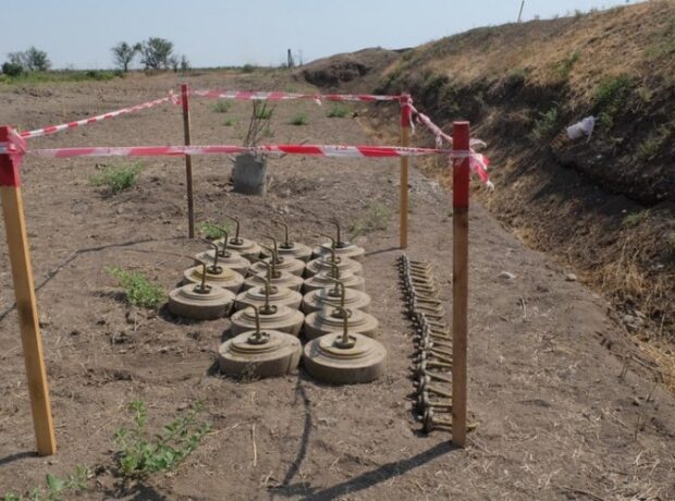 image-1644217335-0bcaf2c7-b1c6-3545-8a88-46f09ad34d34_850