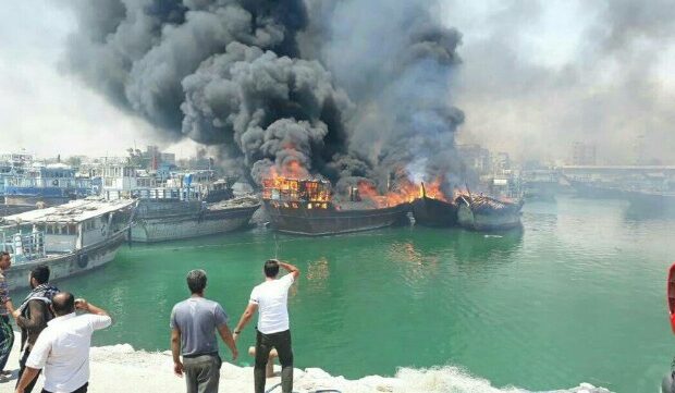 image-1645162353_teciliiiii