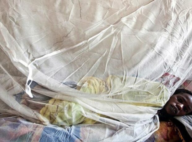 image-1646024373-56b73d8973c17