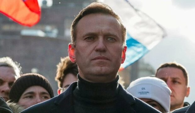 image-1646225940_17d7fb3e-ce30-491d-b155-e5828df115c4