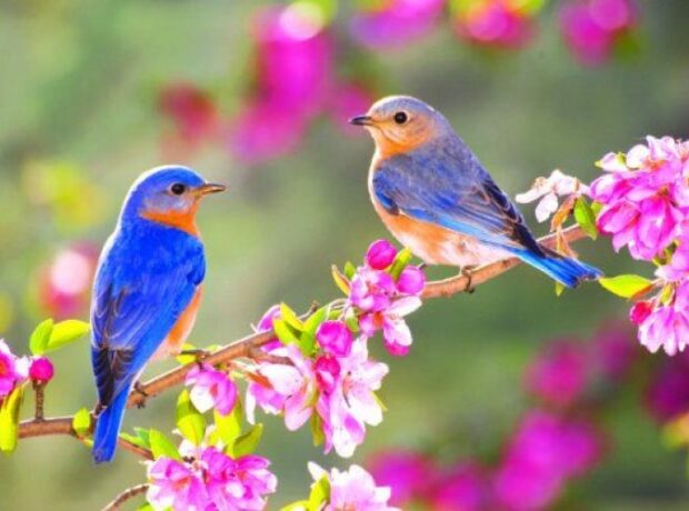 image-1646644219-photo_417626