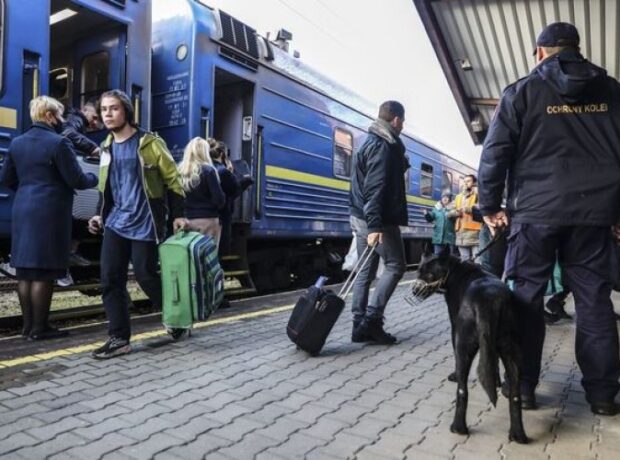 image-1646896559-1238725083-0