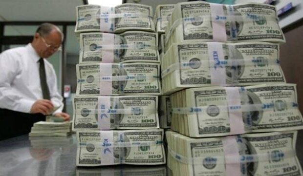 image-1647335682_bag-imlilik-do-viz-kurlari