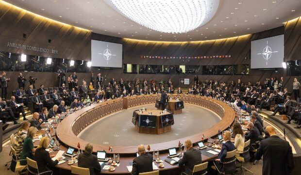 image-1647436416_6231e12546cdc6231e12546cdd16474360696231e12546cda6231e12546cdb