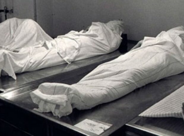 image-1647463919-meyit