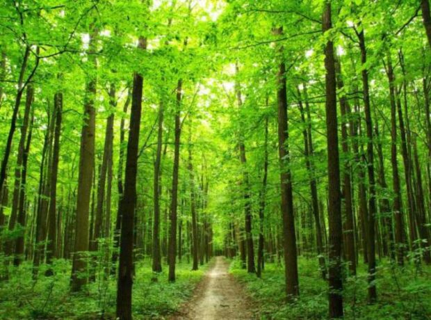 image-1647843019-15041032975019646410_1000x669