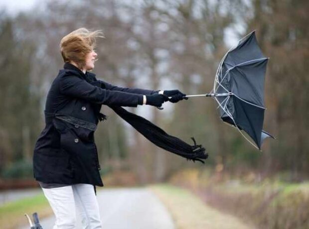 image-1649059993-1645095803-1643631048-1641114997-0051e4b9debffb67ae731e3d9bea79d7_1490947081