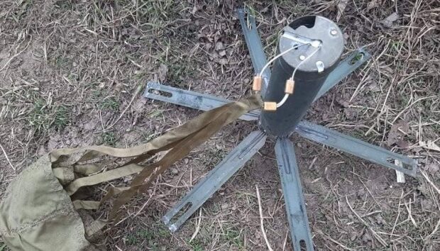 image-1649061936_630_360_1649060421-985