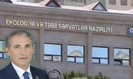 image-1649325874_1072fe21-f18c-4888-b3bc-f924f747bf02