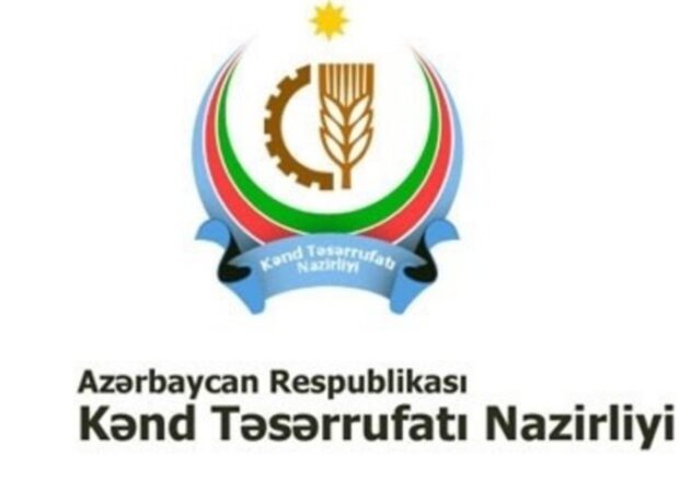 image-1649344623-34249fec-f6d4-4e4f-97d4-3614313f6784_850