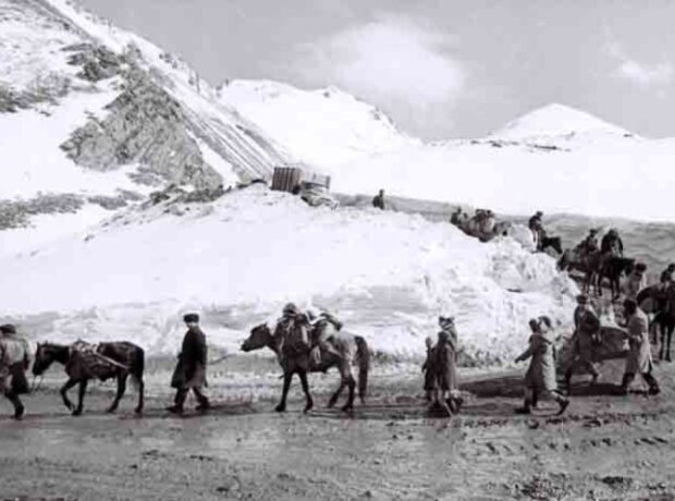 image-1649361850-624e84ddf4076624e84ddf40771649312989624e84ddf4074624e84ddf4075