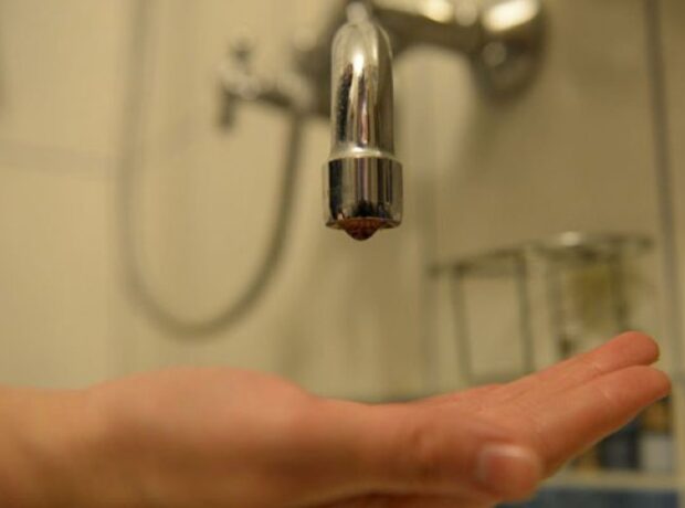 image-1649395556-1491909136-1248