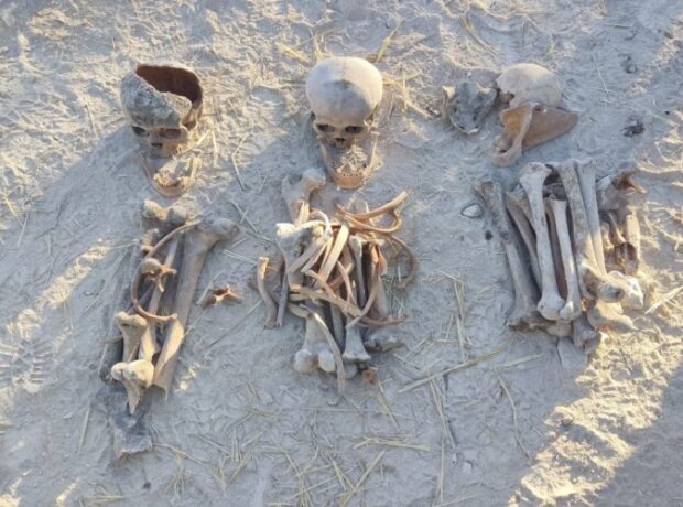 image-1649487278-62441e5e878c762441e5e878c8164863139062441e5e878c362441e5e878c5