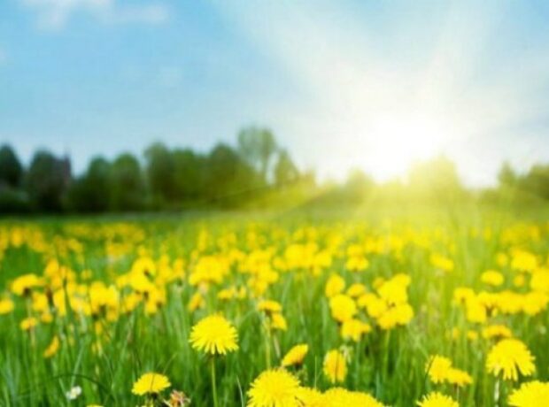 image-1649668380-1566549592-1562316684_1487664821_havaproqf