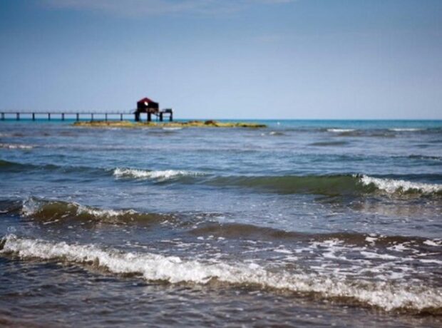 image-1649702917-xezer_2847576