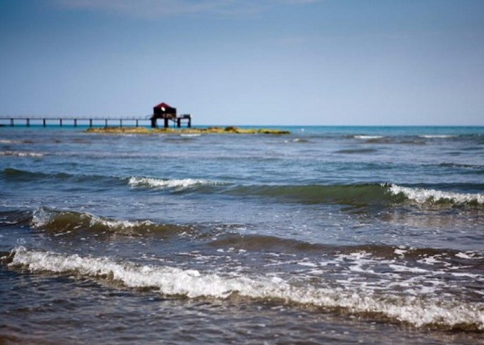 image-1649702917-xezer_2847576