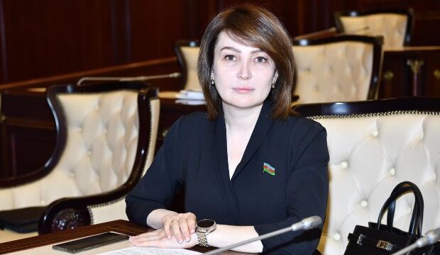 image-1649743172_jale_ahmedova_deputat_200420