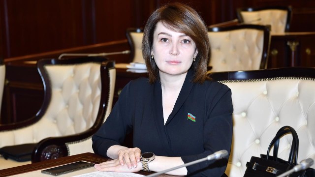 image-1649743172_jale_ahmedova_deputat_200420