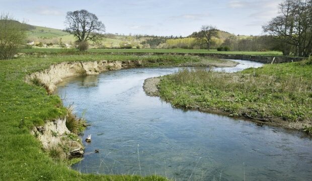 image-1649841189_14655499675690352228_1000x669