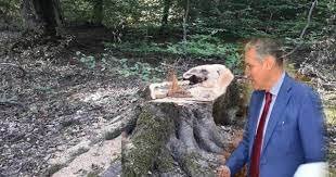 image-1649939124_download