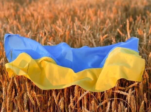 image-1650359850-ukrainegrain
