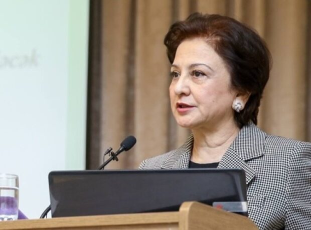 image-1650522227-gulcohra