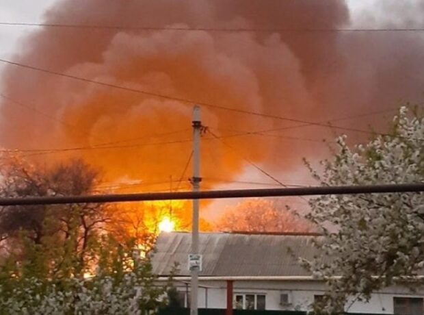 image-1651210933-2733306