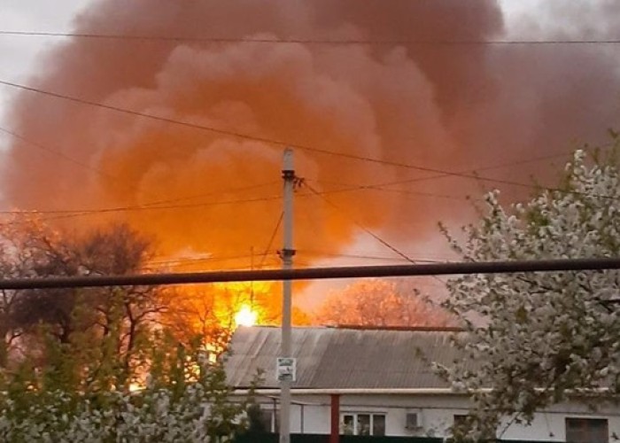 image-1651210933-2733306