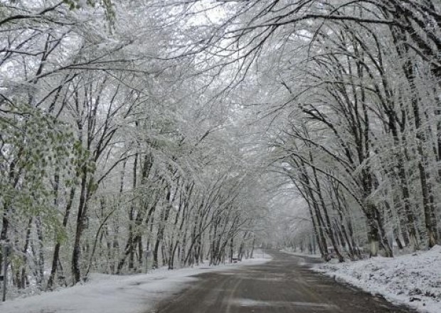 image-1633007668-qar-menzere1