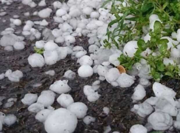 image-1650882772-1590171653-1562509970_dolu