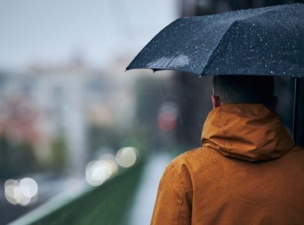 image-1651481138-yagis