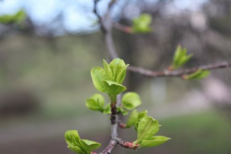 image-1651563605_0001