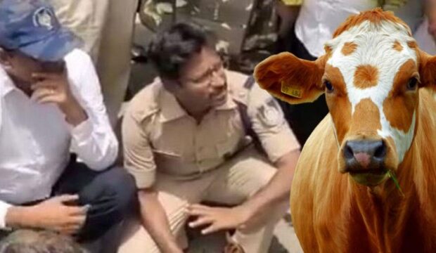 image-1651731774_hindistan-da-kutsal-olarak-gorulen-inegi-kesen-14917832_3895_amp