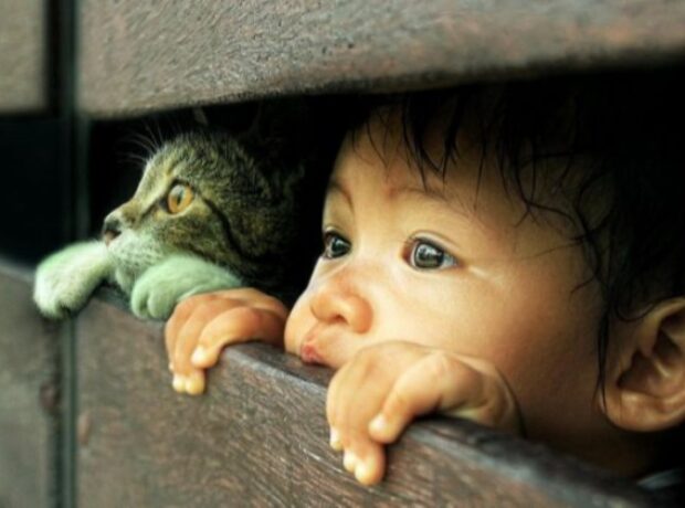 image-1652254338-3948843