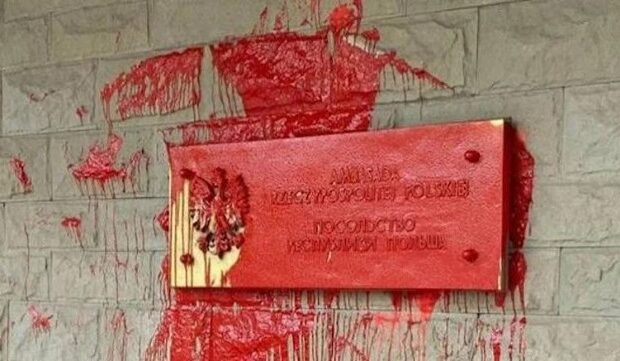 image-1652333432_469c6b64-e04e-4c57-b0b2-66bec5f22e66