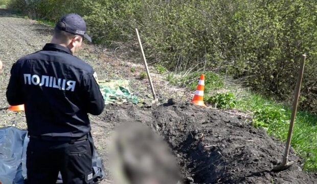 image-1652766668_1652765181-6843