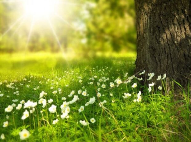 image-1652776308-hshs