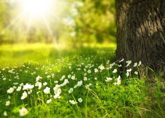 image-1652776308-hshs