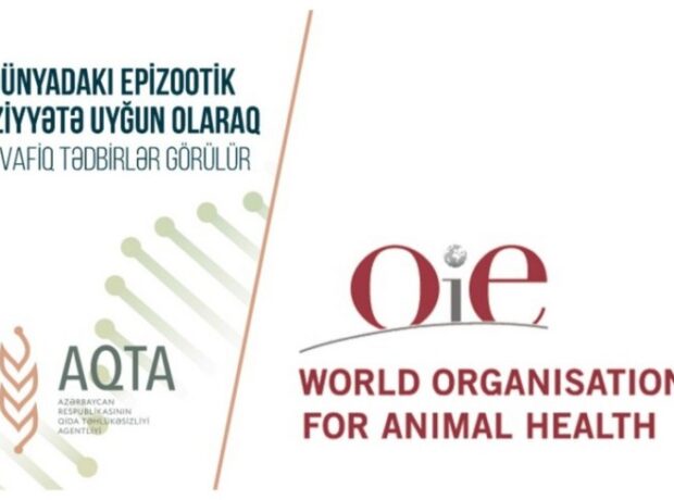 image-1652852391-bc173d5e-7bbd-3703-a728-d54b5b0d4b22_850