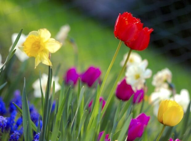 image-1652862341-177363_w4hoh5ged8