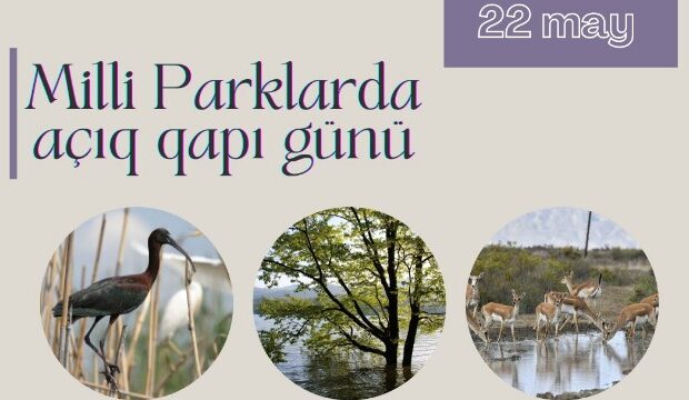 image-1653115532_whatsapp-image-2022-05-21-at-10-38-37