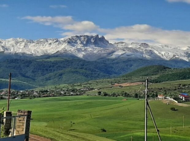 image-1653117907-f5920f4d-c3c0-3f53-9b6d-8cd3e593eafc_850