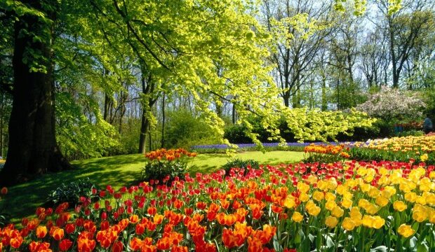 image-1653296007_1553148094_61234abc-dc3e-4af8-9c22-ac7cdf22dc6a