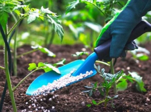 image-1653383930-vlxsc-4911463782