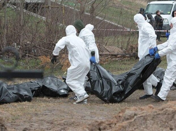 image-1653391462-1650037793_cesed