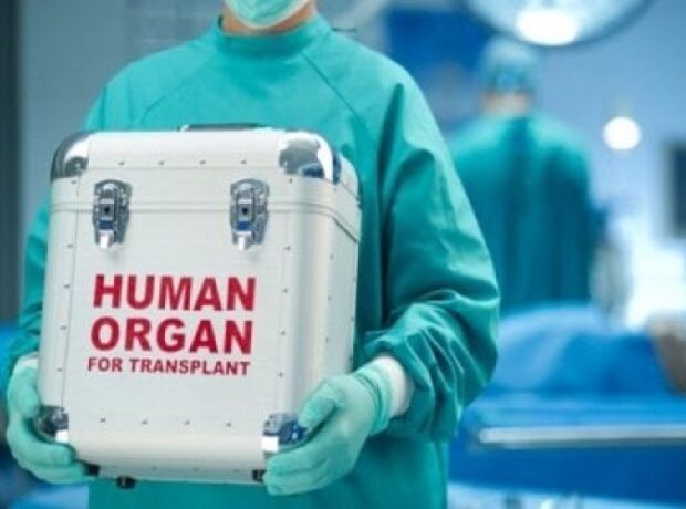 image-1653639777-transplantasiya